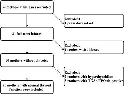 Characteristics and predictors of breast milk iodine in exclusively breastfed infants: Results from a repeated-measures study of iodine metabolism